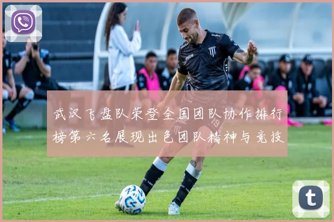 武汉飞盘队荣登全国团队协作排行榜第六名展现出色团队精神与竞技实力